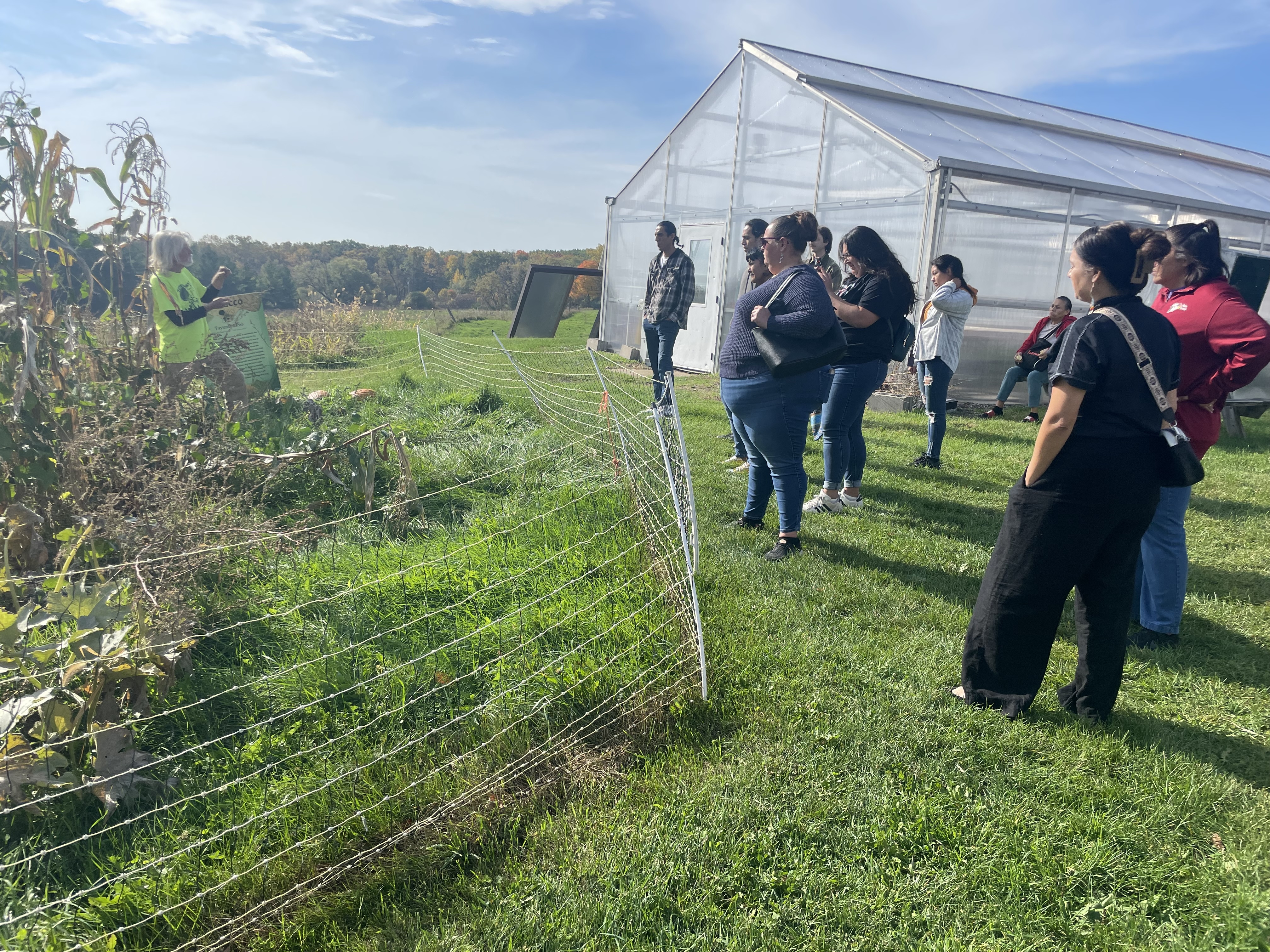 Native seed project field.jpg